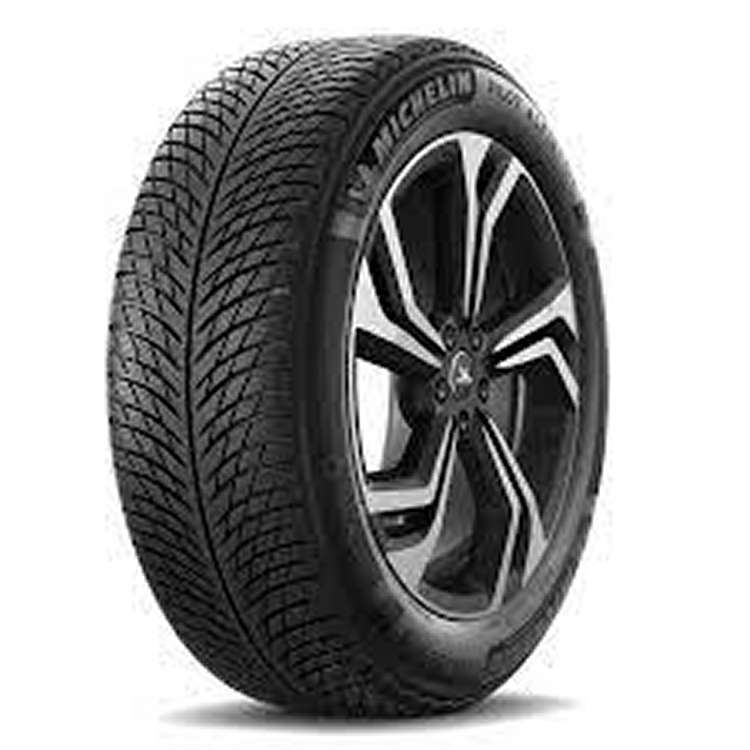 Michelin Pilot Alpin 5 SUV ZP *